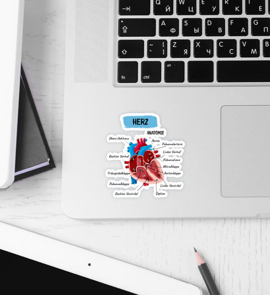 Herz Anatomie Sticker